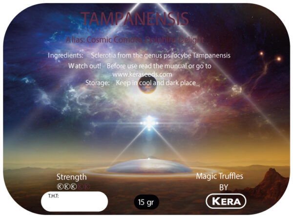 Magic Truffles By Kera – Truffel Tampanensis – 15 gram